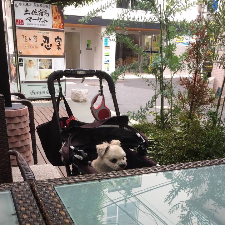 4a9c2975 1dcd 4798 9a08 4b946d334ef1 1535795205415