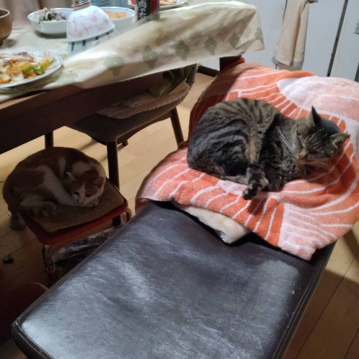 4a9c547d 6158 4b62 b175 6d1a82b61778 1732694637308