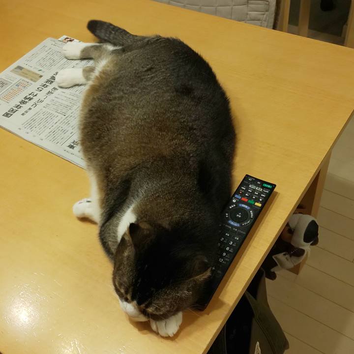 4a9c5631 6d9a 4e84 8a77 87d5d5830e73 1713362069136