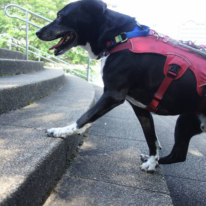 4a9c67ee aae8 4f14 ab0c 2d6a7b4329e3 1684284038292