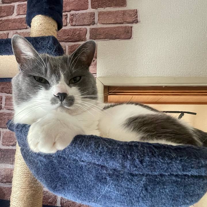 4a9c78b3 27cb 4f29 949a fe0088182320 1677800702717