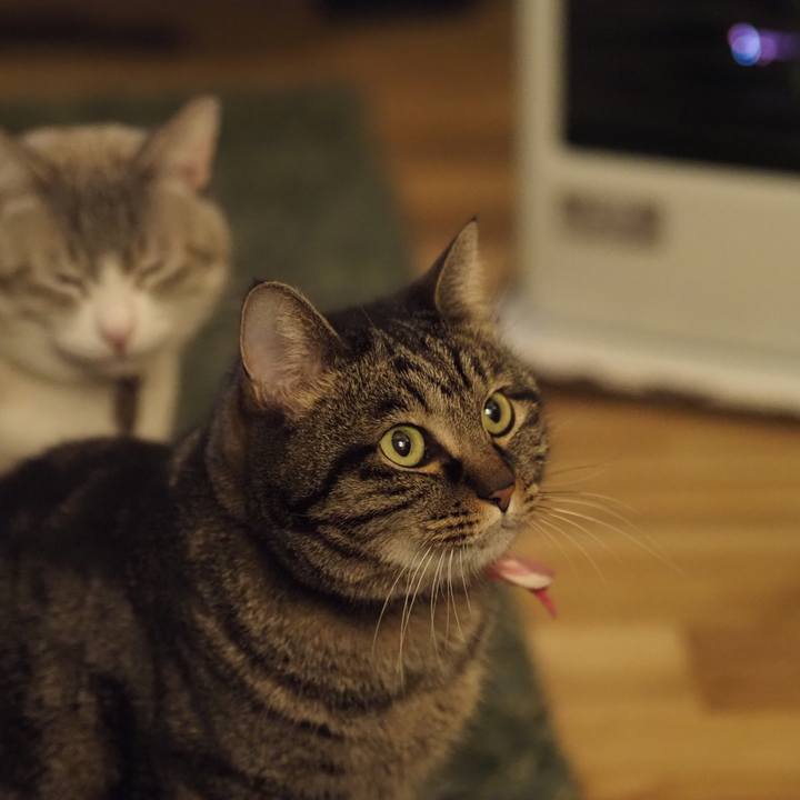 4a9cadbe 6aa8 42a0 afb4 b63a4761220e 1641821458947