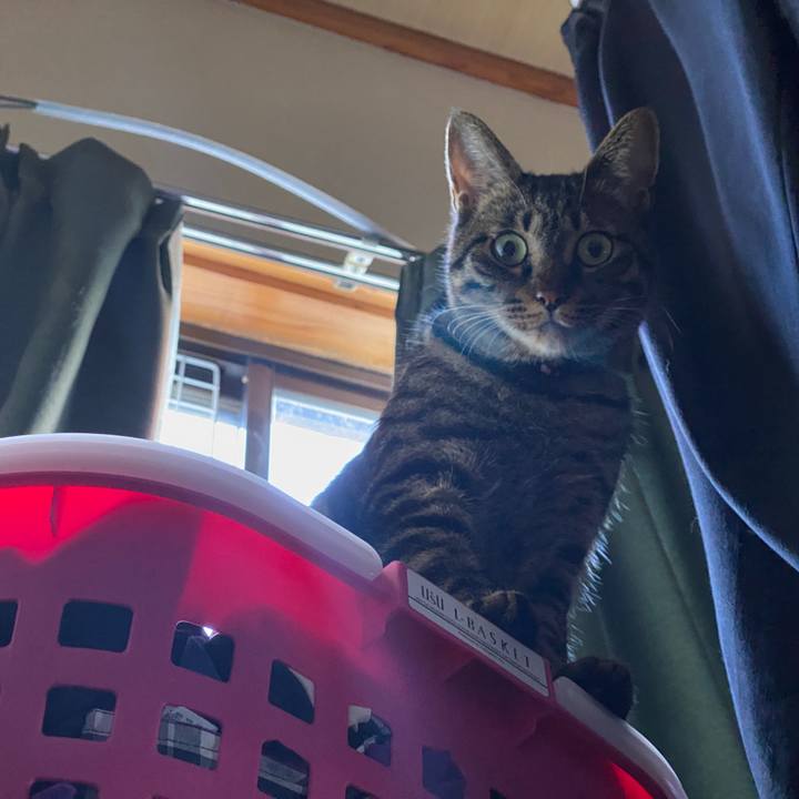 4a9d0888 89a9 4f64 b86e cc29ce893055 1583195860972