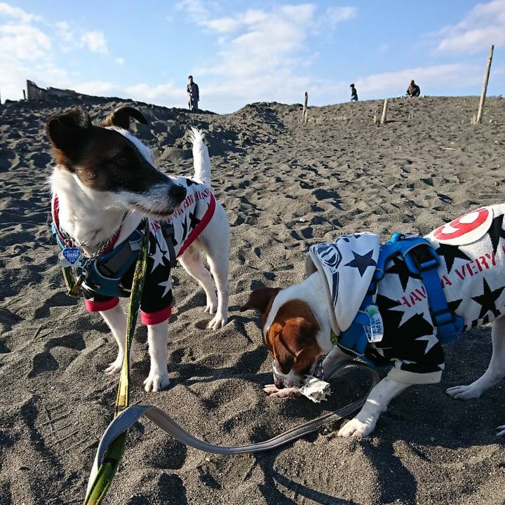 4a9d1463 3f73 4b75 8157 51f5ef6fc3e5 1553413197397