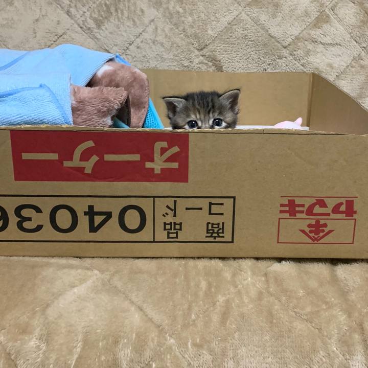 4a9d260a 8ca4 4ad0 be1e 87b41ebda46e 1588083949200