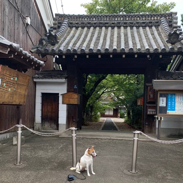 4a9d39fc d77f 4000 b8f2 9d3a5e15bc2d 1568595967046