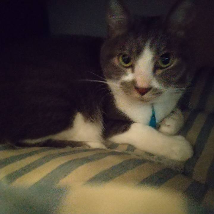 4a9d3aae 614b 4593 ab62 3f9097e07807 1650073557995