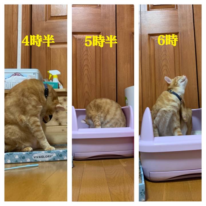 4a9d44ca f5ad 4928 a026 ab242a344652 1584394884336