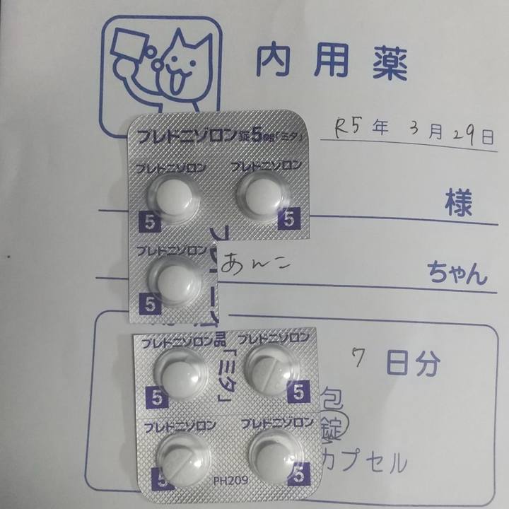 4a9d7133 f7a6 4a95 8039 8de185fd216e 1680077645397