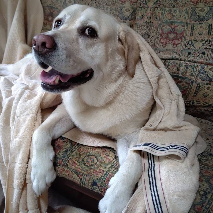 4a9d8621 3574 4912 ae1d c9d51c0d265b 1691916335807