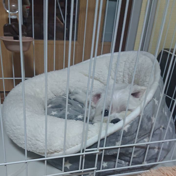 4a9da0e2 f36c 4258 bcd1 05ae6725e853 1632836781598