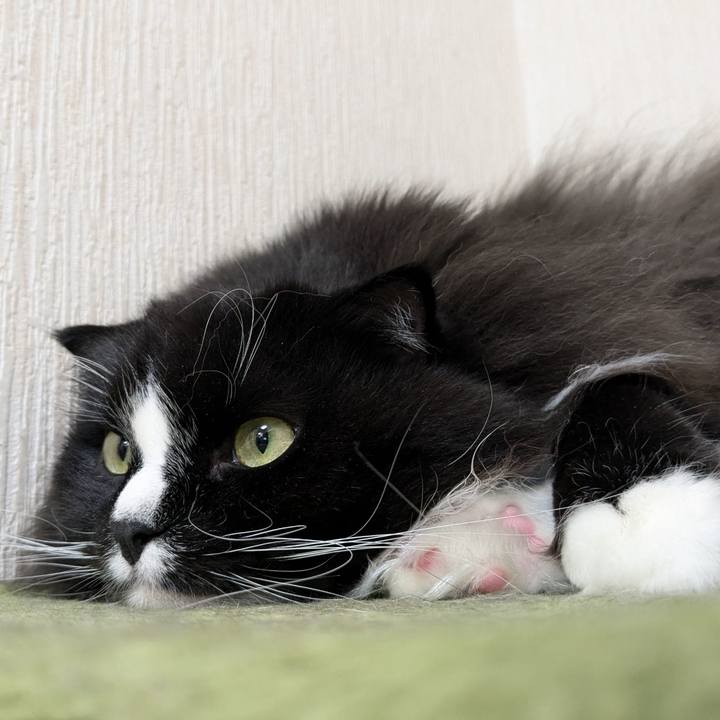 4a9dbe53 ea97 47d9 ac72 11731d725ff6 1735649394233