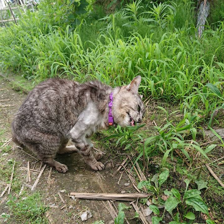 4a9e1e97 44a4 4561 90e7 2d486eadde9f 1595470616405