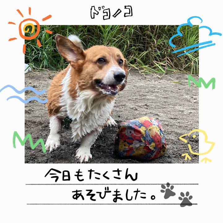 4a9e20dc 4f4a 479f 806c 385ea6f50563 1755478475175