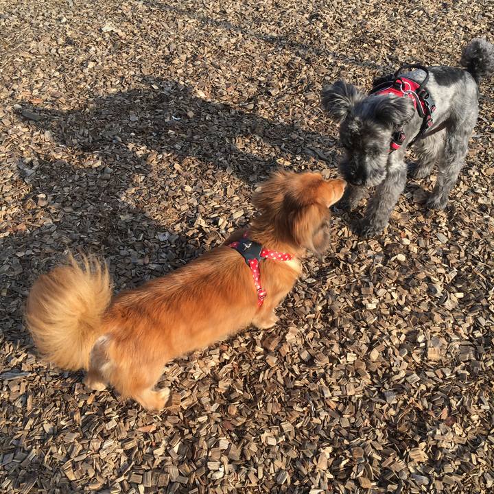 4a9e3d3a c229 44de 9059 1b8975cbb6bb 1542041863200