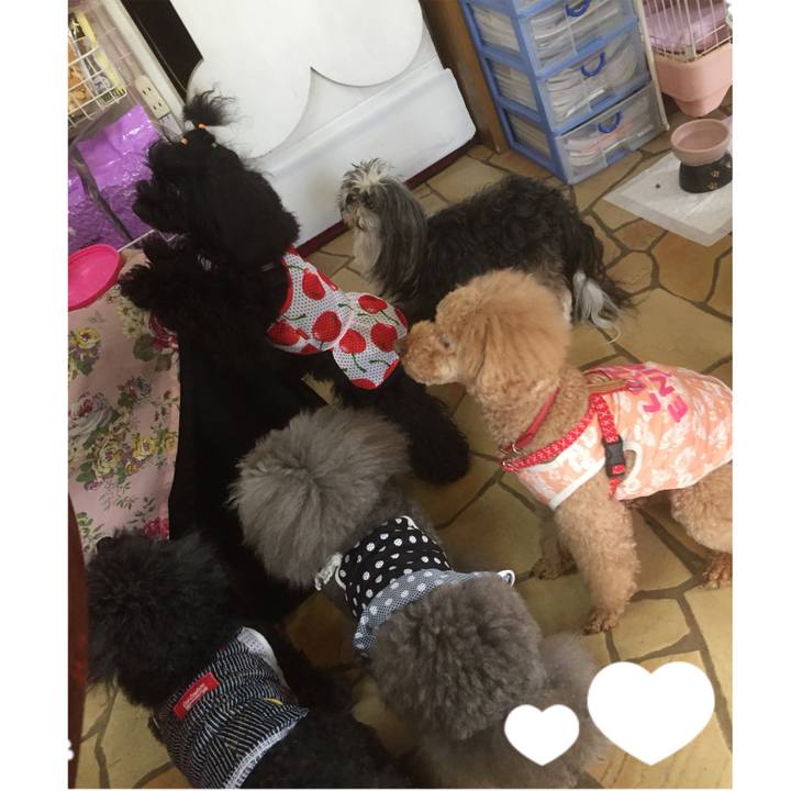 4a9e6845 6c47 4736 a5a2 b887e5d34e32 1527408089845