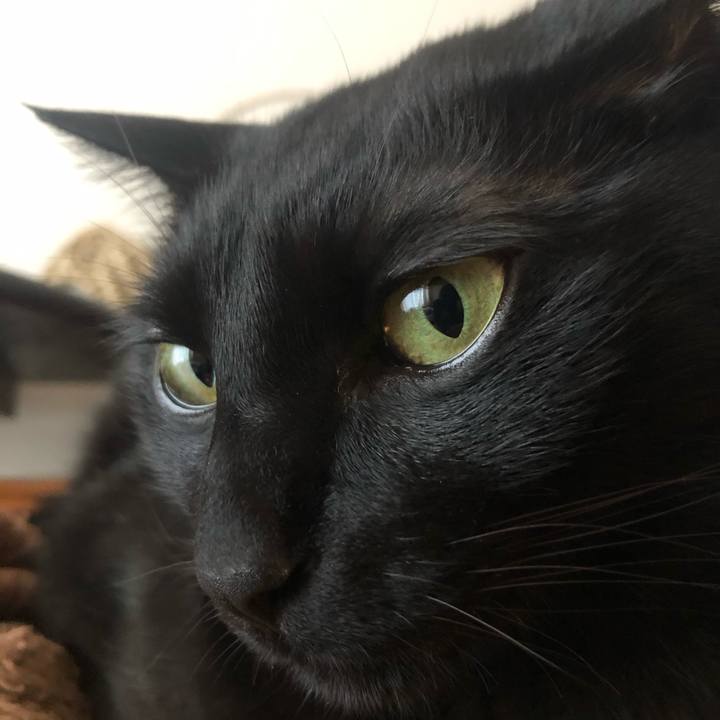 4a9e6a34 c25e 4a8a b348 661ff6cb98d2 1584691730716