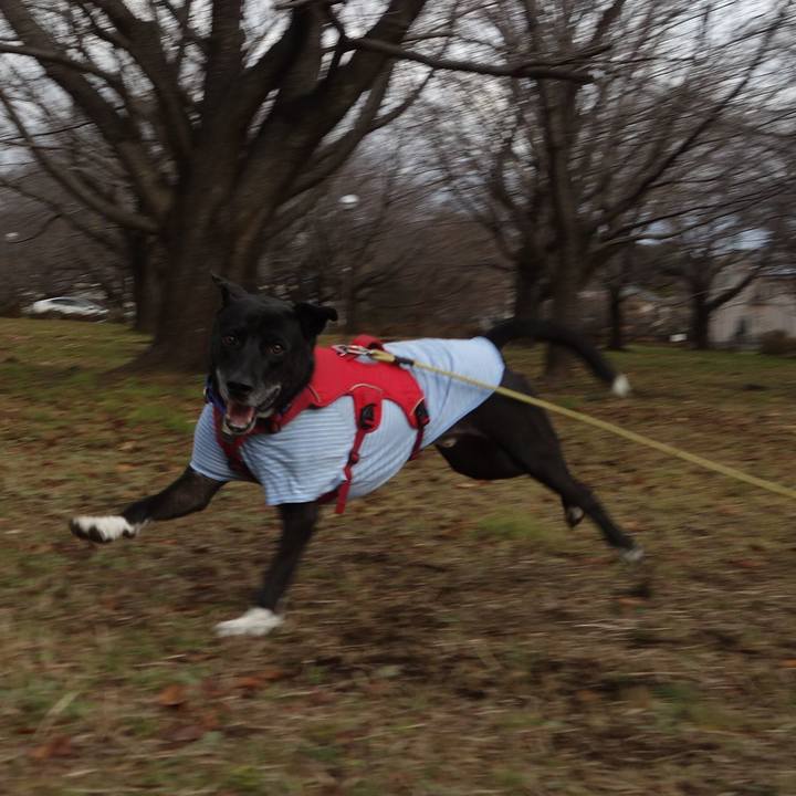 4a9e7c57 9df7 42f6 b4ff afe0d17b55c4 1671585307516