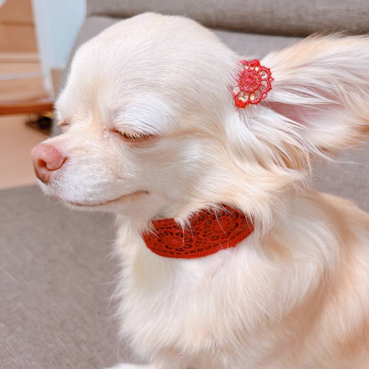 4a9e91dd a145 427c b42d c2be4934cab5 1658386798067