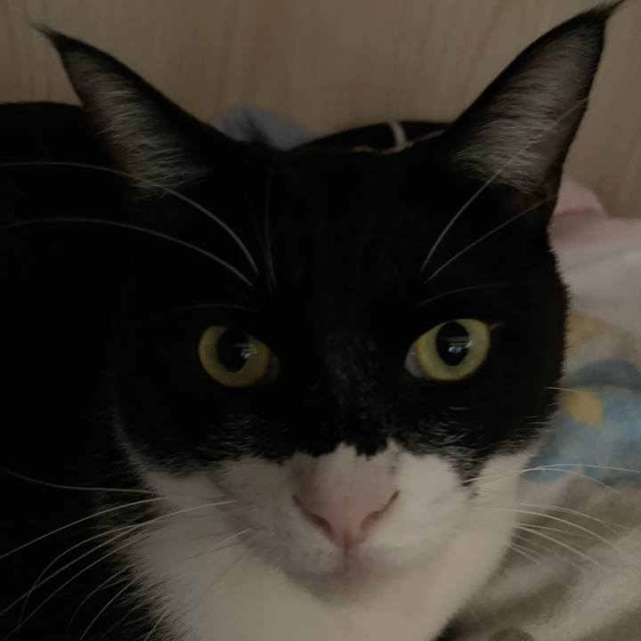 4a9ecb70 c93c 4a1f 95b8 c4d59d90d458 1615438324330