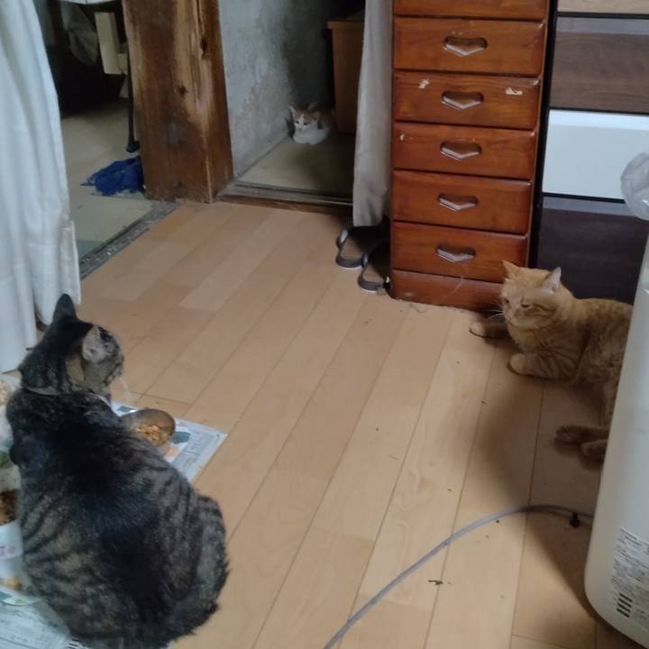 4a9eea51 fe3e 415d 8fbd f790c68e5474 1724667236644