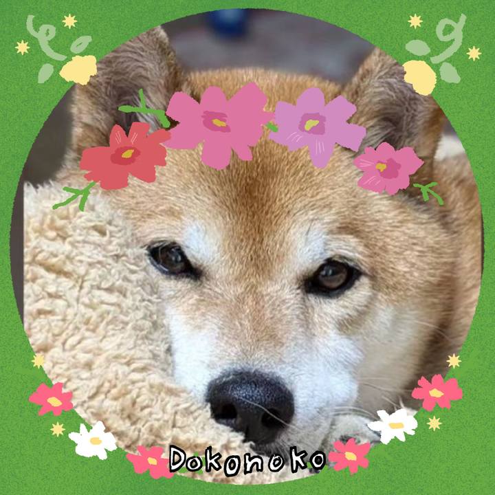 4a9fc2fb e729 4153 ad00 f20d9a4f4398 1727175206814