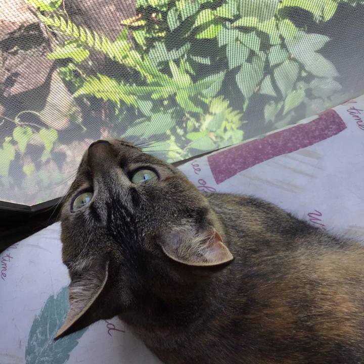 4a9fda49 6a97 4882 985d db28a77a3fb2 1593398555828