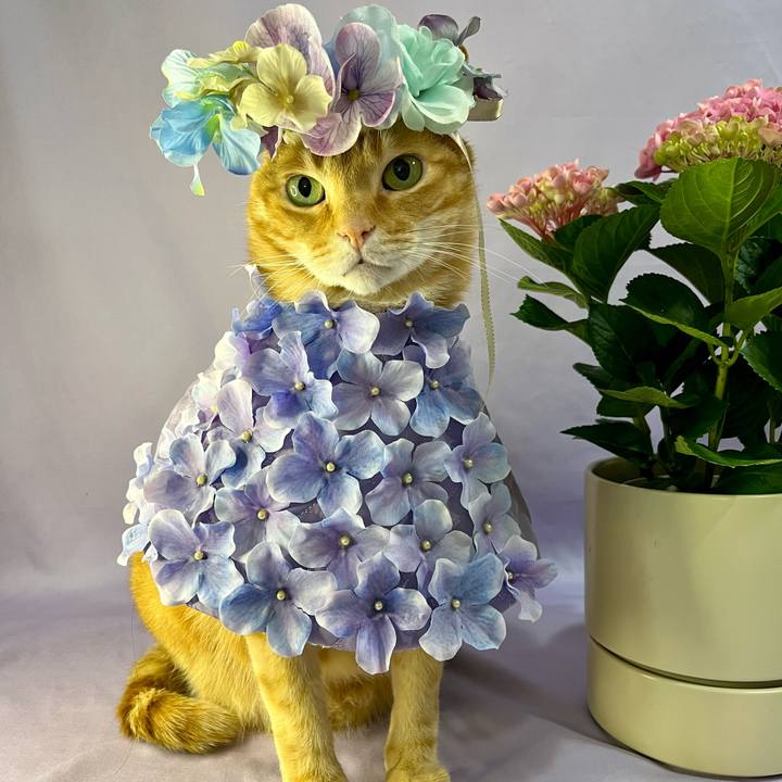 4aa01952 7aff 478a 9ed0 e7ec982c9bcf 1748001234354