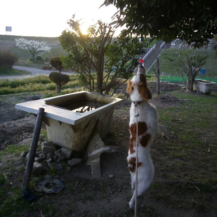 4aa03a57 8165 43ed 94c9 ac5038016275 1520167421507