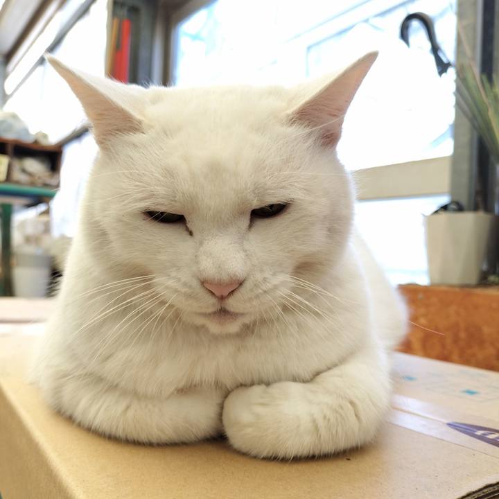 4aa07c37 a689 4870 a9e2 4062656d43b5 1763523878610