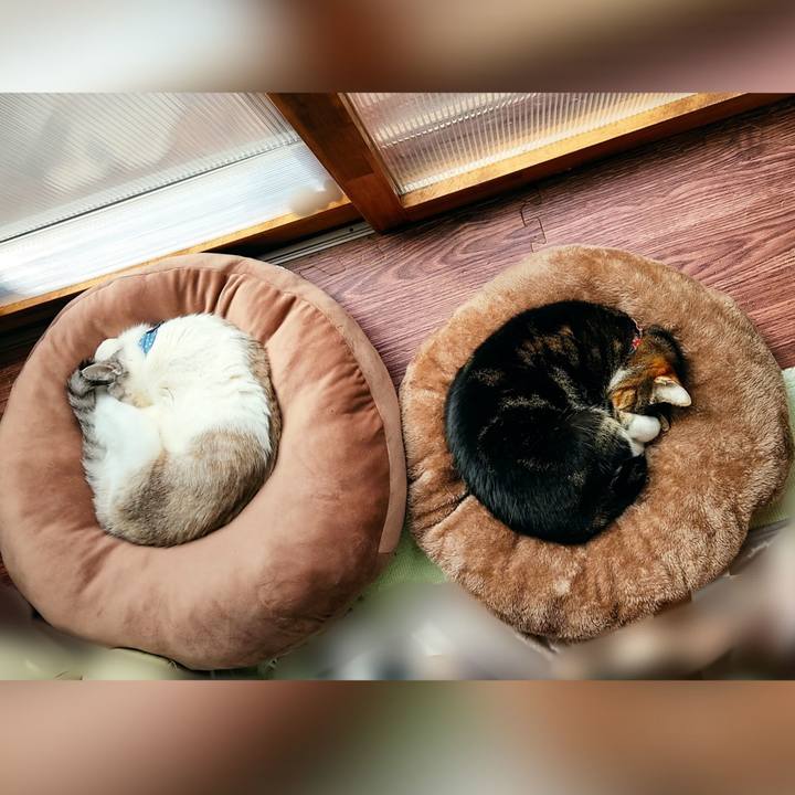 4aa0a881 d65f 4a78 93ea 57135748ae92 1649322271247