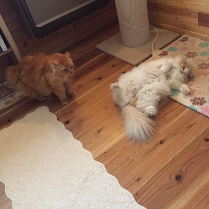 4aa0f3be 44eb 4272 a3e9 5d221056eb72 1574984540591