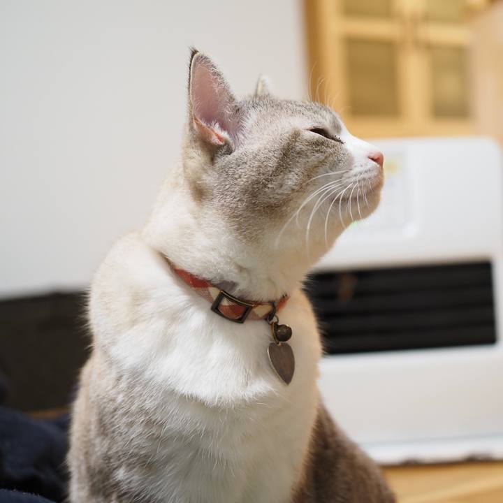 4aa0f90c 18ea 4604 ad07 0cf9f93e9342 1607759745307