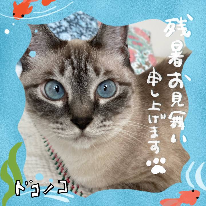 4aa0f91b d998 444c af0c 5b32862a5aa5 1723175568309