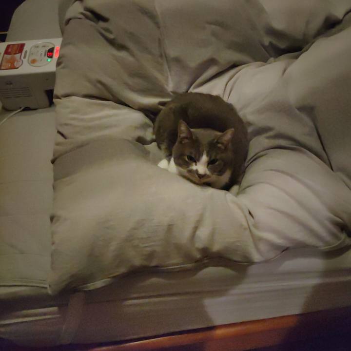 4aa0fe5d 940d 41b1 9840 13398b1ebc31 1674829438195