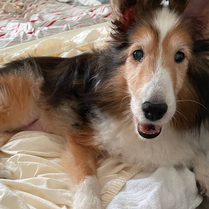 4aa14511 252e 4485 8436 4b2d1fb2900d 1630145161773