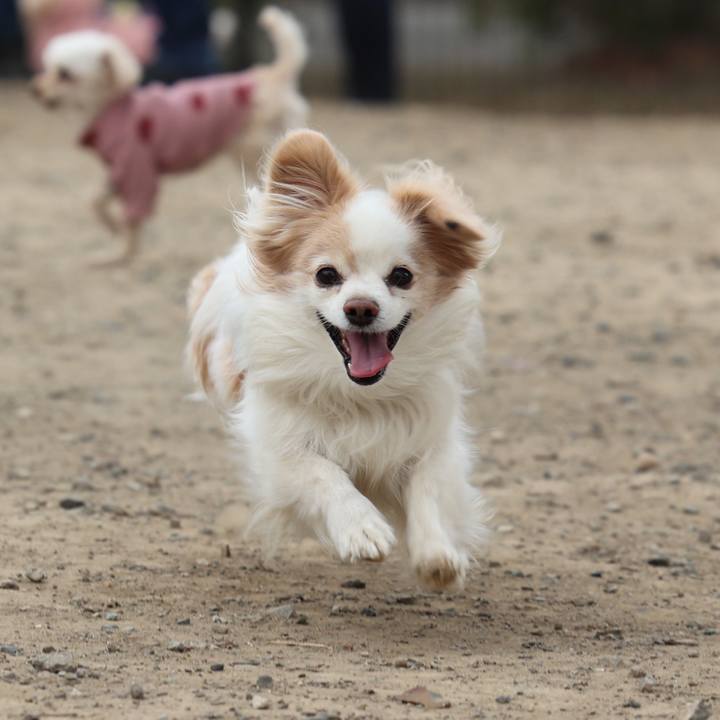 4aa1587b cef9 4890 a19c 7c954f5112fd 1758715302240