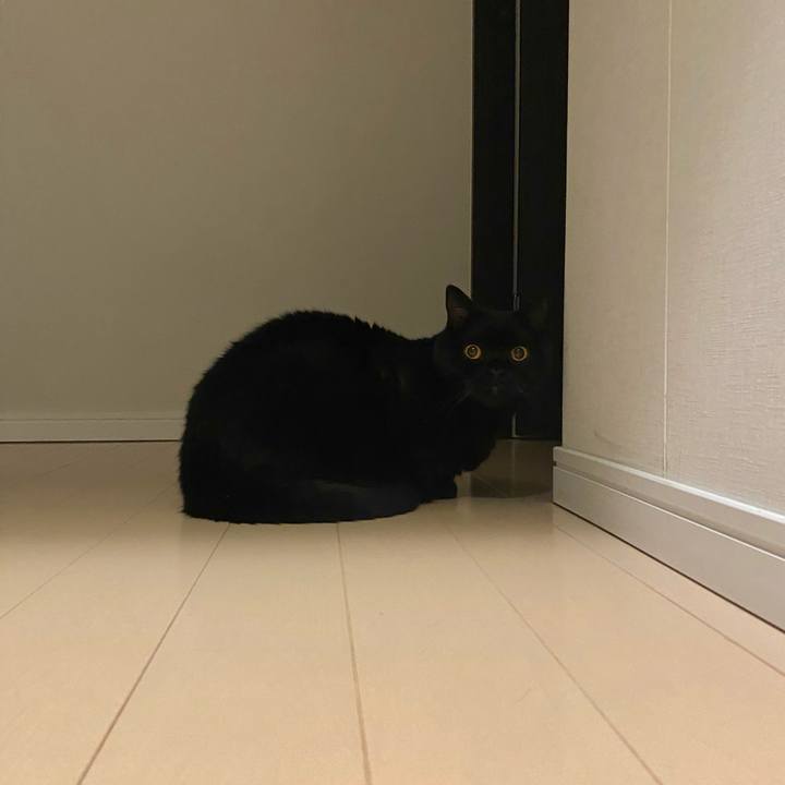 4aa16fba e942 43be b944 cc0a143fa6ab 1696685588842