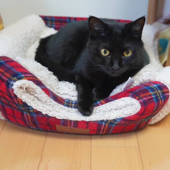 4aa17a71 be75 4239 a9fc c797383c1cde 1601338360555