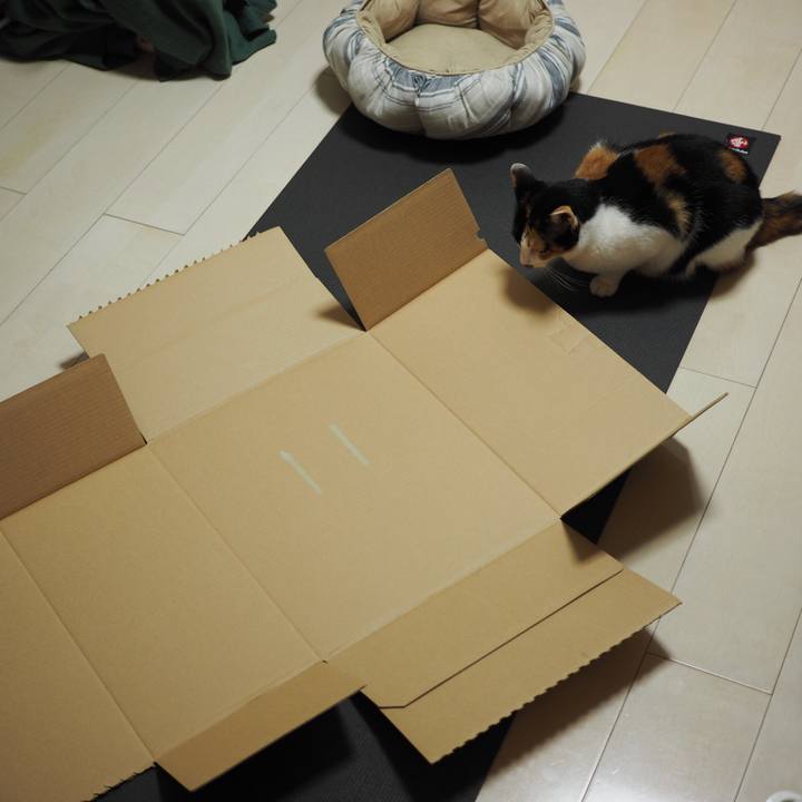 4aa1d6da 828a 4162 8034 42de2d625a69 1527030125229