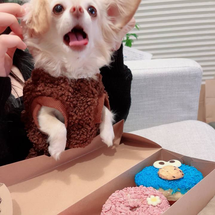 4aa21a0c 6b6e 4f05 9a3c 068517cb93a1 1702639228042