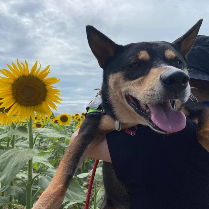 4aa29140 fbe5 4160 bd47 40542bf1c32e 1660524707793