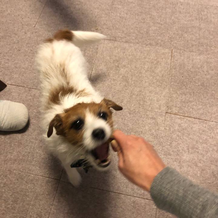 4aa2c196 0d61 447e a69d ceefac4eac45 1577797394840