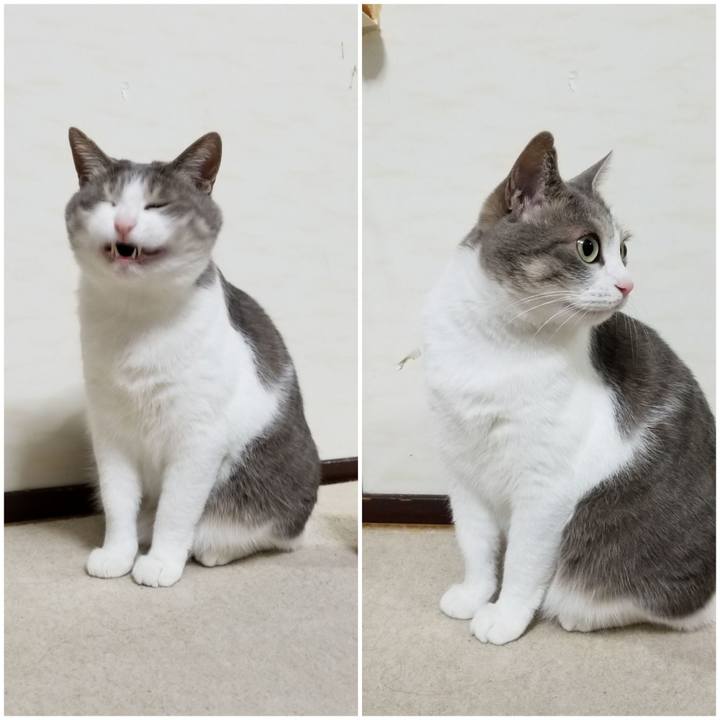 4aa2d54e dd7f 477e a122 c7747329d654 1548592045581