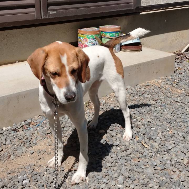 4aa2d572 af74 43a3 9acb f53956c80e66 1584941203526