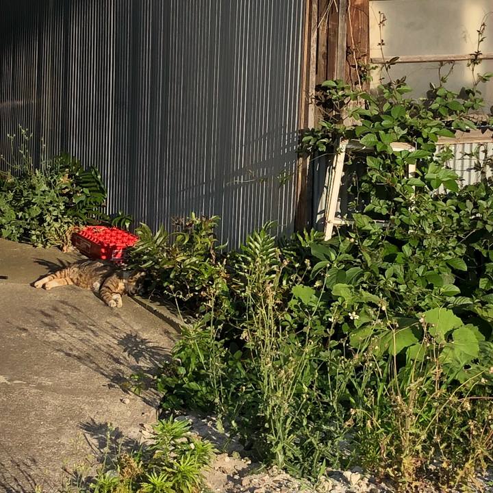 4aa2f454 c5f7 4c05 af99 20480689ac50 1526981128065