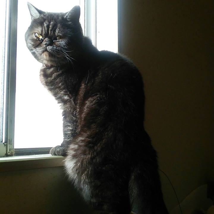 4aa32873 4a7d 400c 8ee2 2926a914f58e 1514786890961