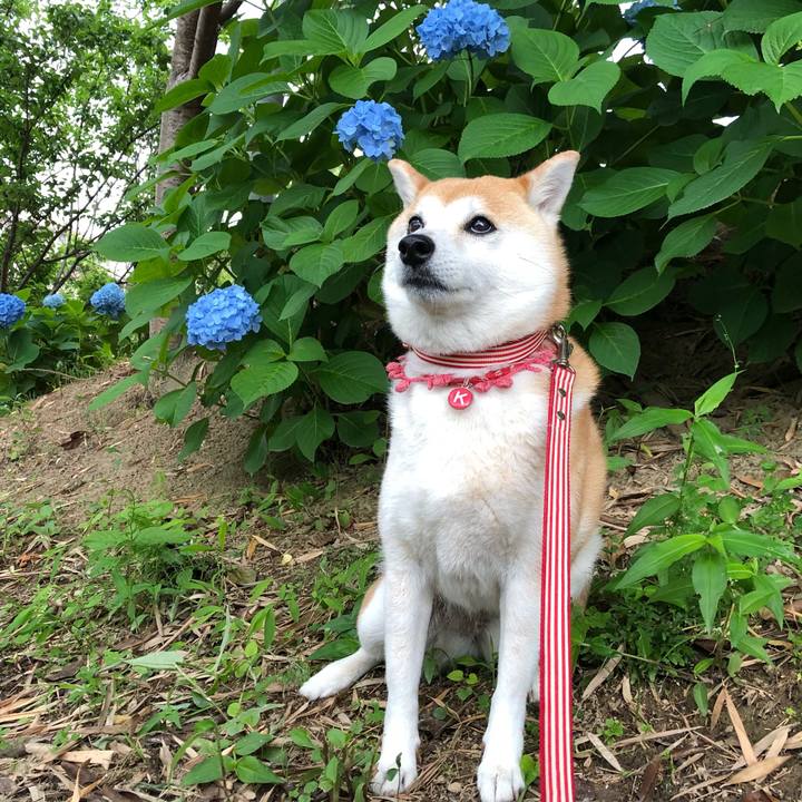 4aa32cb8 9b35 4717 aa44 9dcb837f7e6d 1622714815566