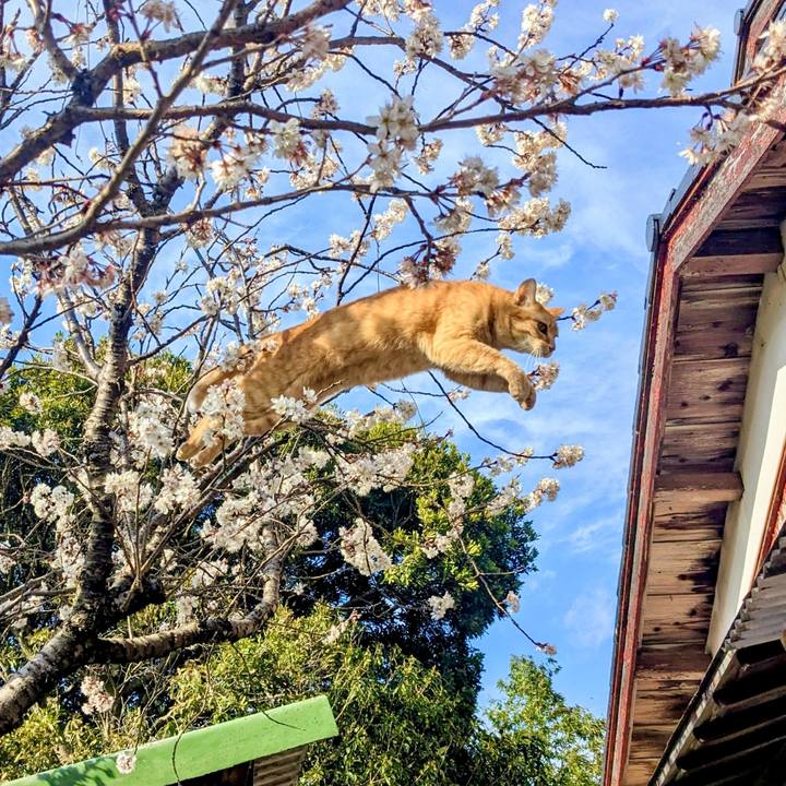 4aa37846 b00c 4a40 97c6 610a0209fabf 1773224947462