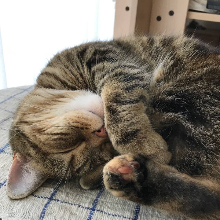 4aa3932d 22c7 4faf 89a5 ab6ec768a842 1526971960072